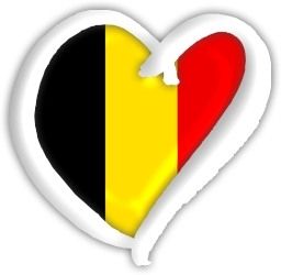 Le drapeau de la belgique et mes conseils pour aller sur AliExpress lorsque l'on vit en Belgique !